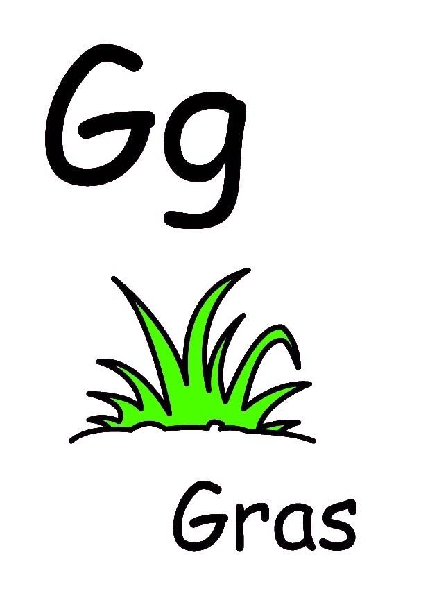 g imagem g