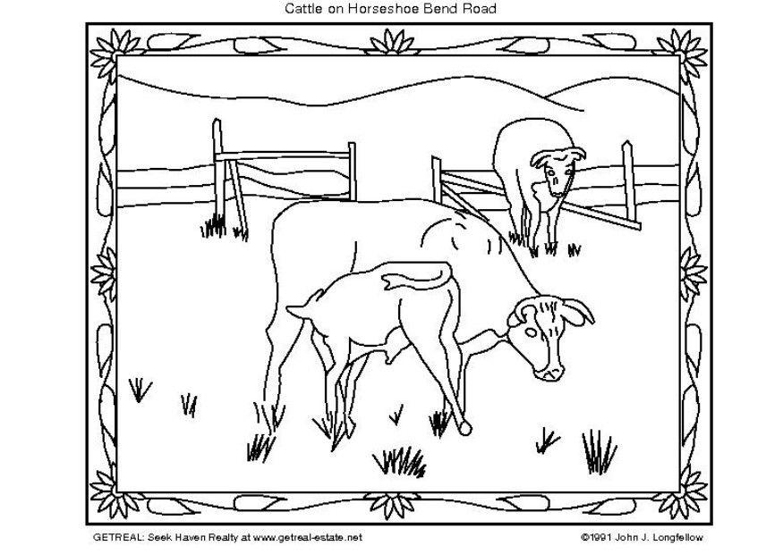 gado americano Página para colorir gado americano