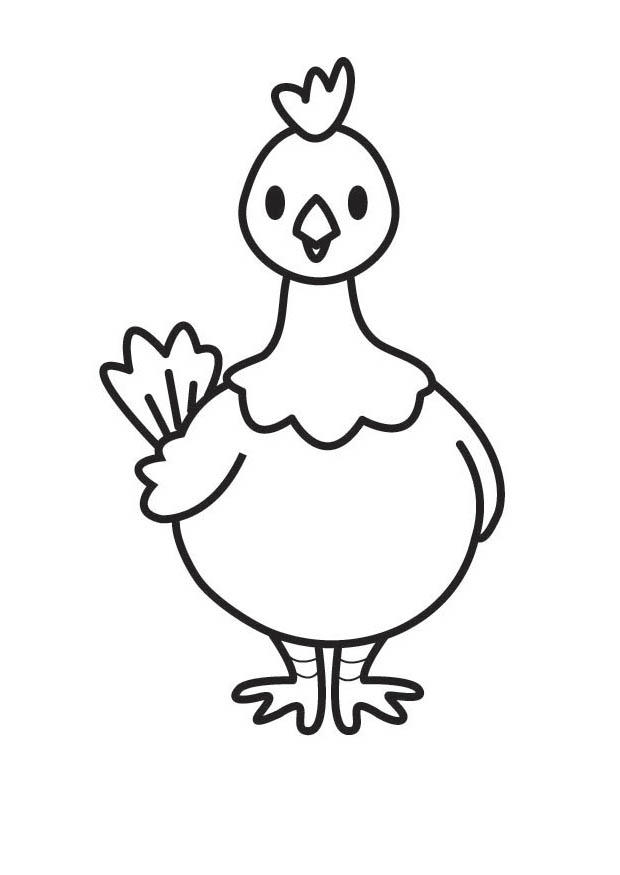 galinha Página para colorir galinha