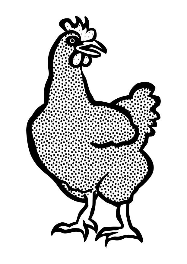 galinha Página para colorir galinha