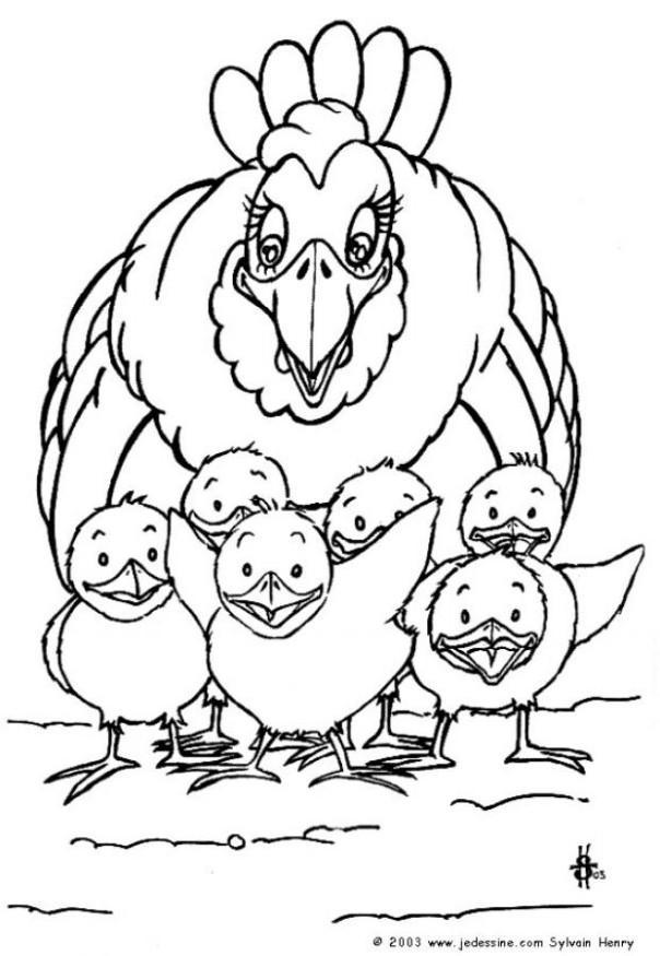 galinha com pintinhos Página para colorir galinha com pintinhos