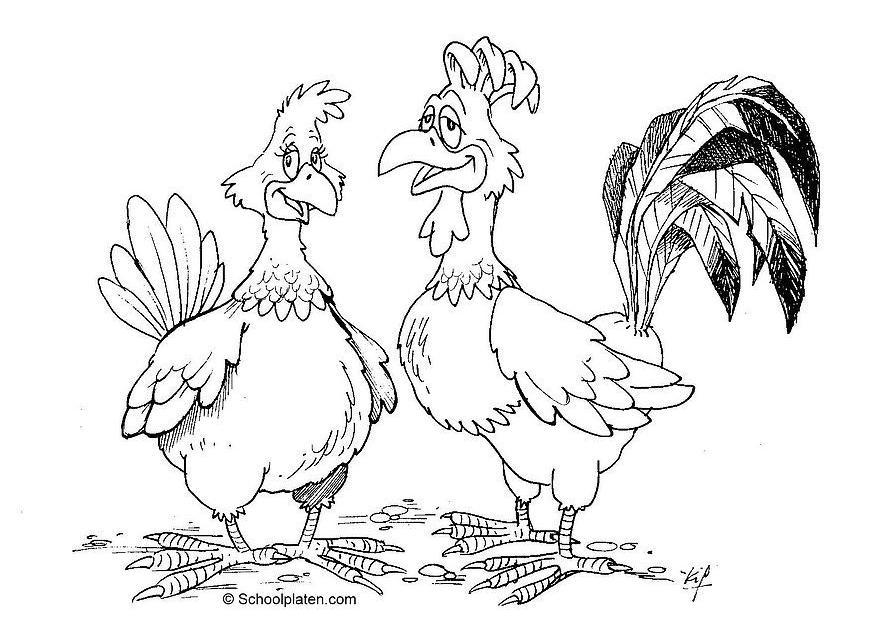 galo e galinha Página para colorir galo e galinha