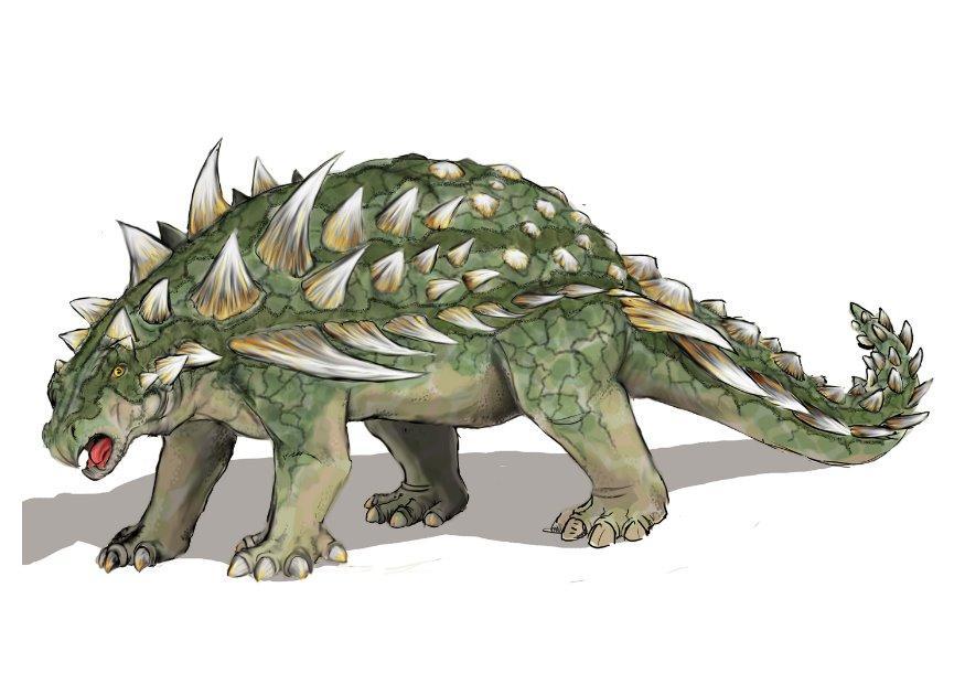 gastonia burgei imagem gastonia burgei