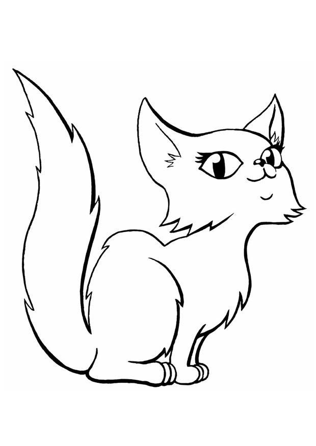 gato Página para colorir gato
