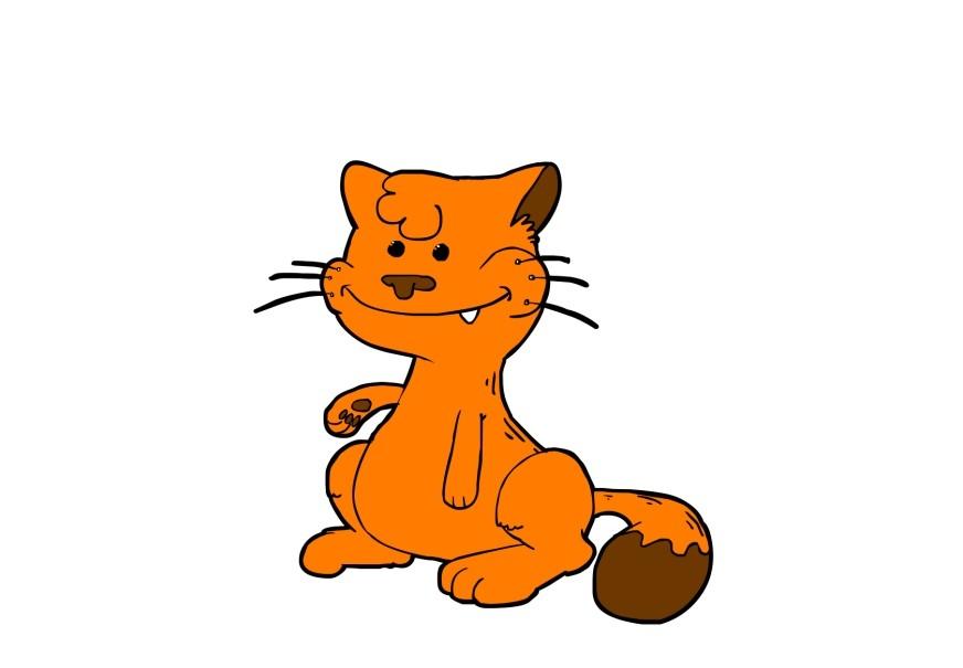 gato imagem gato