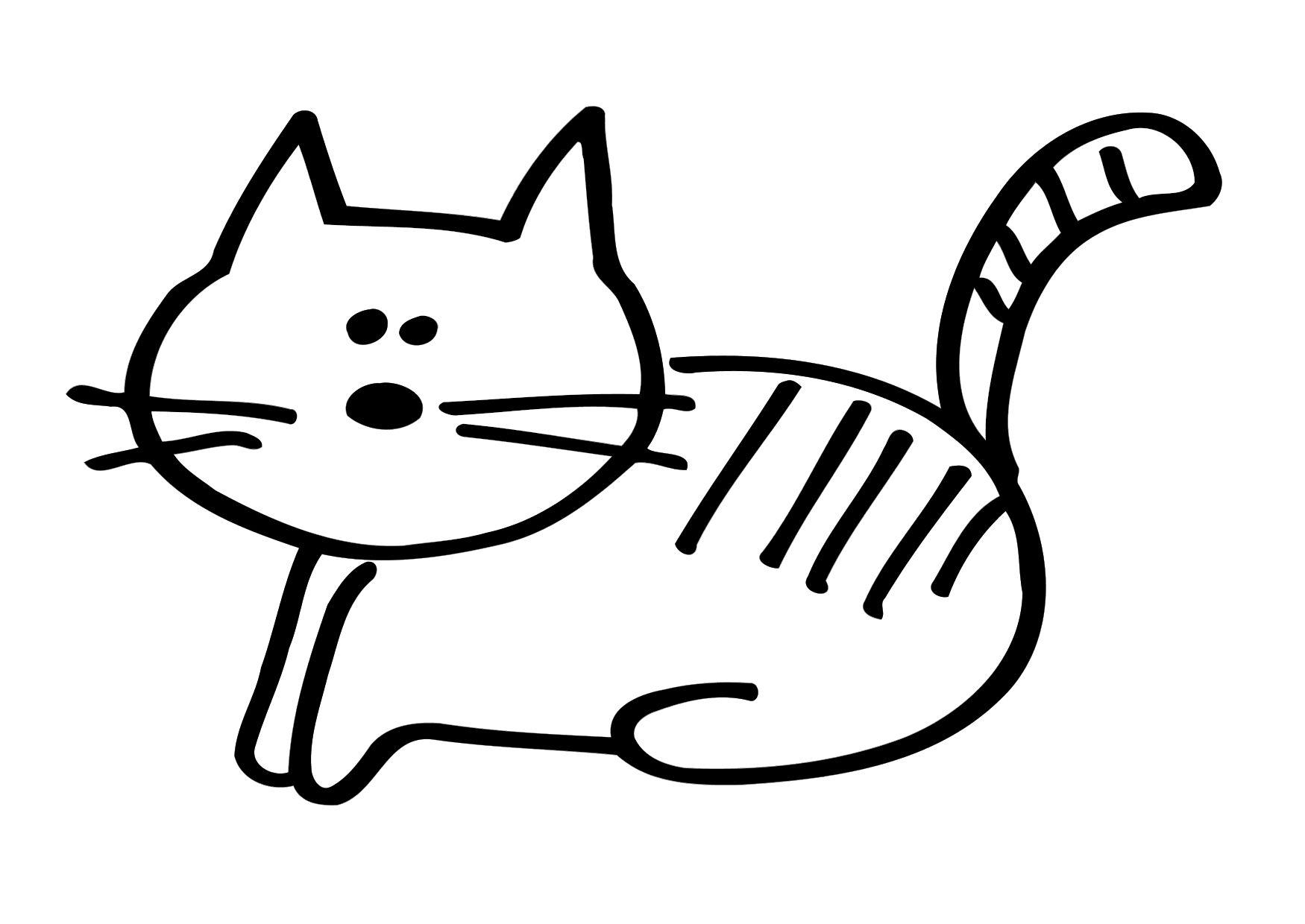 gato Página para colorir gato