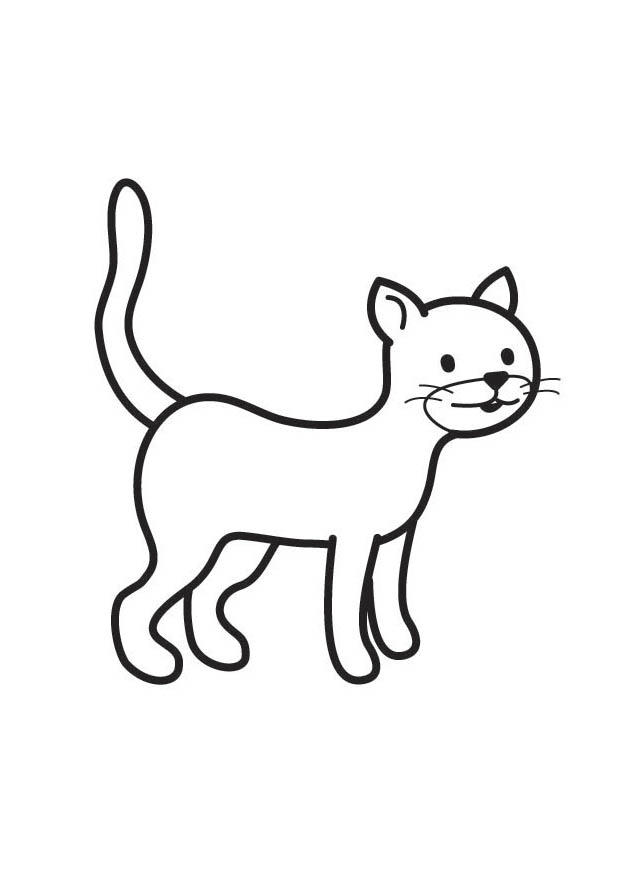 gato Página para colorir gato