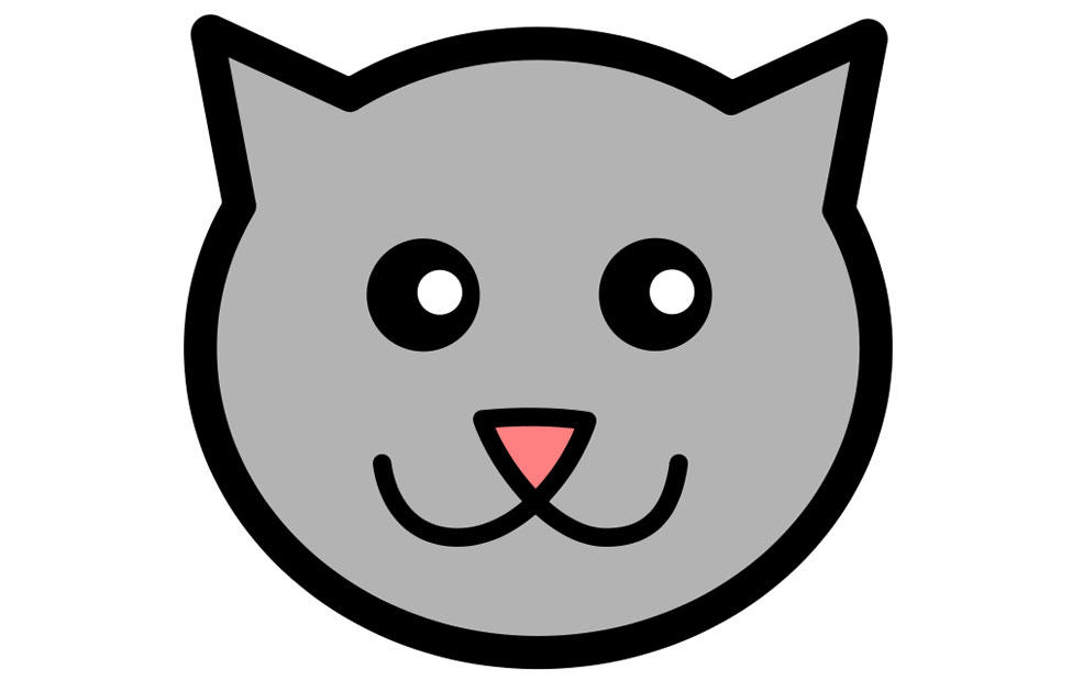 gato imagem gato