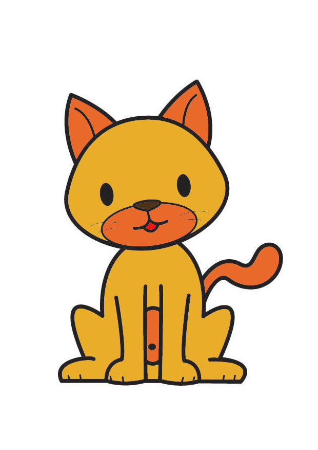 gato imagem gato