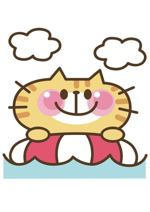 gato imagem gato