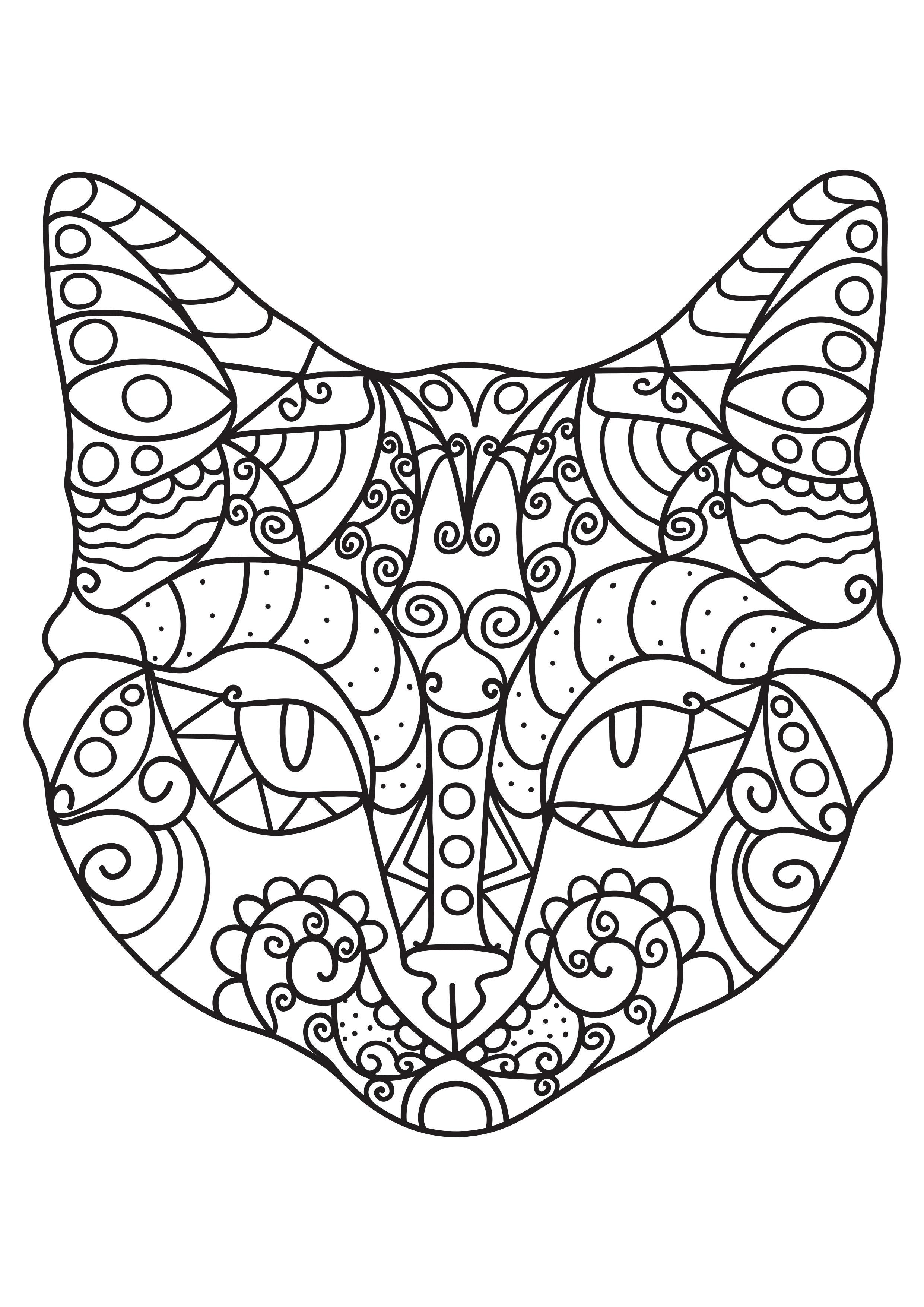 gato Página para colorir gato