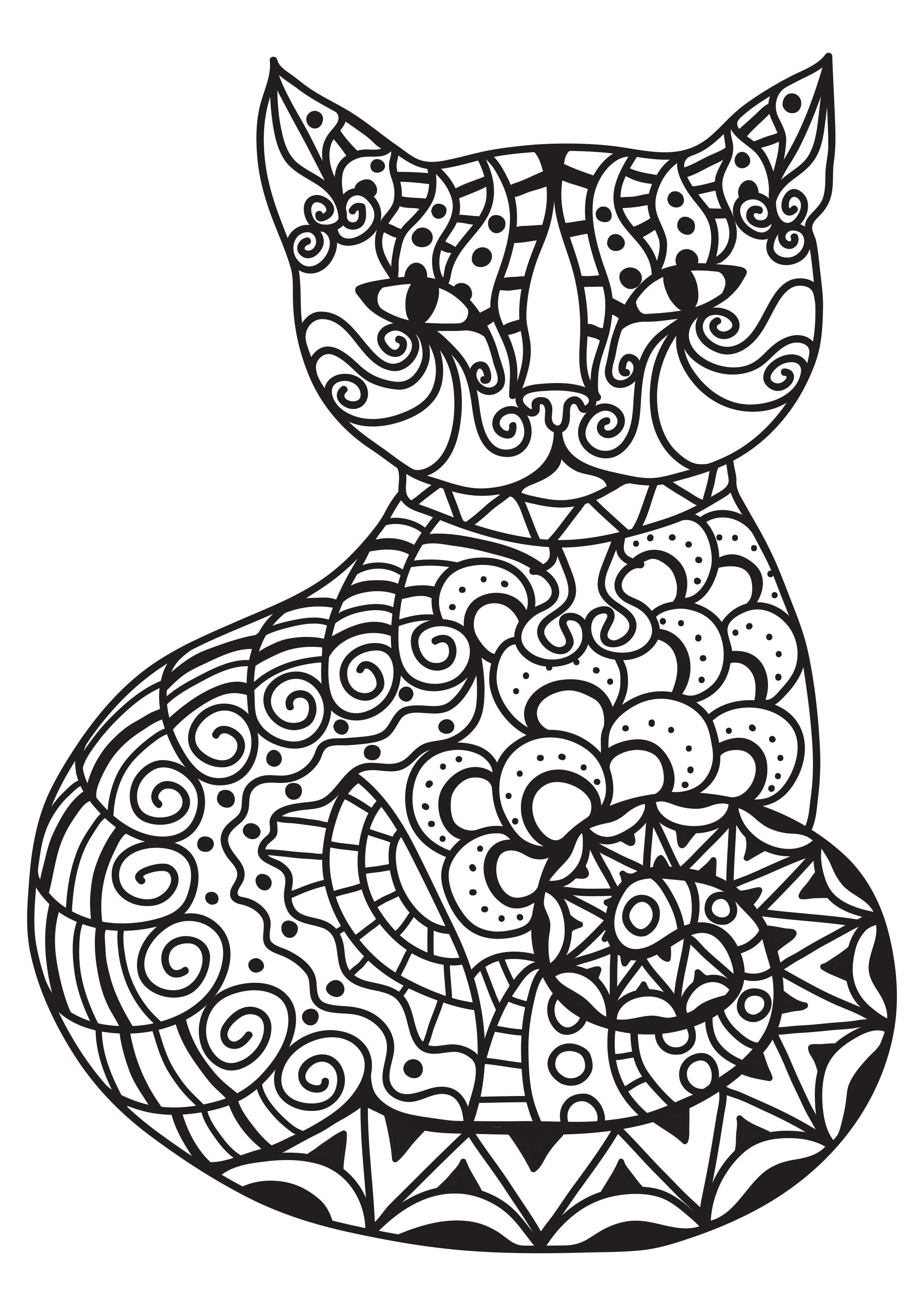 gato Página para colorir gato