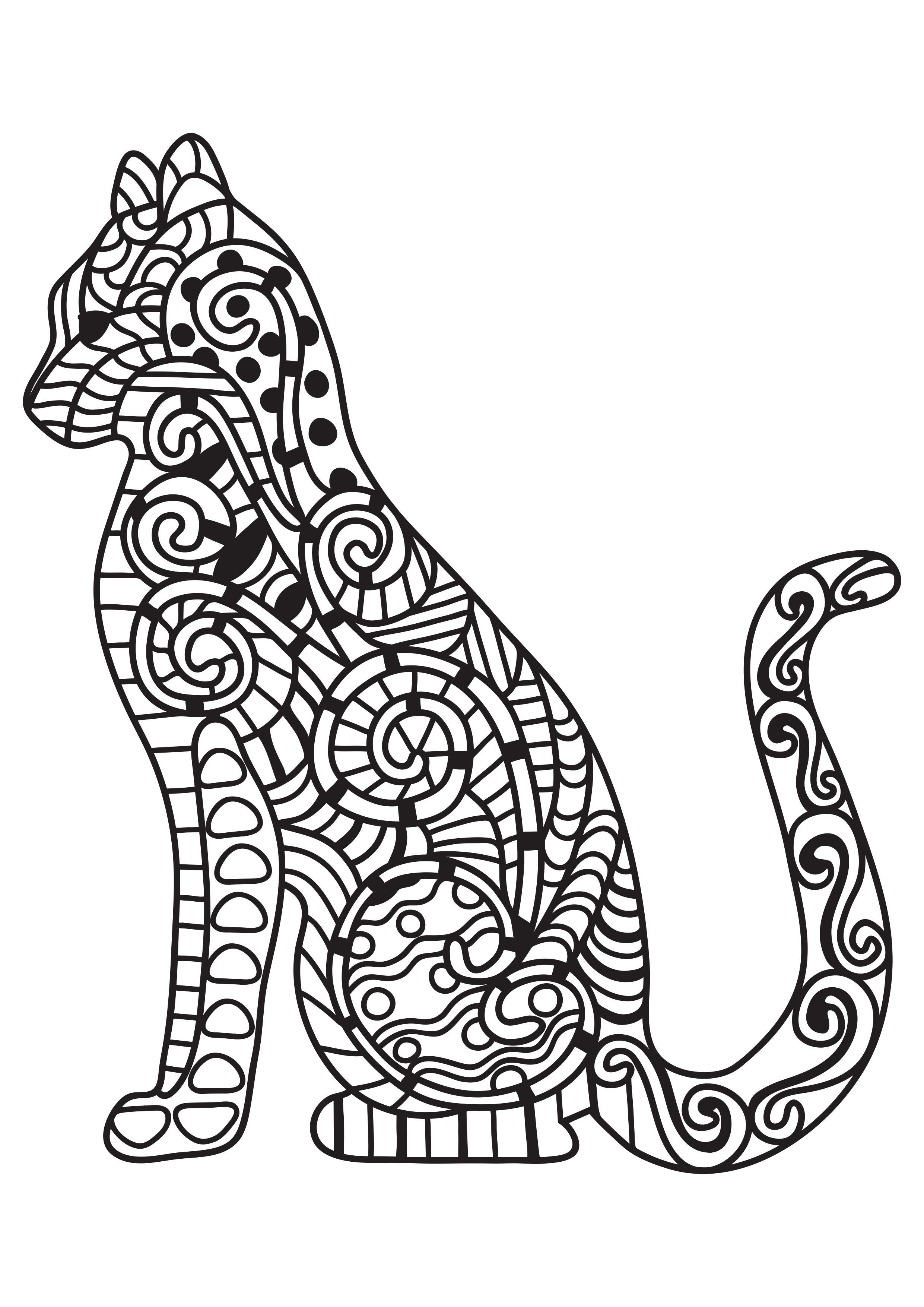 gato Página para colorir gato