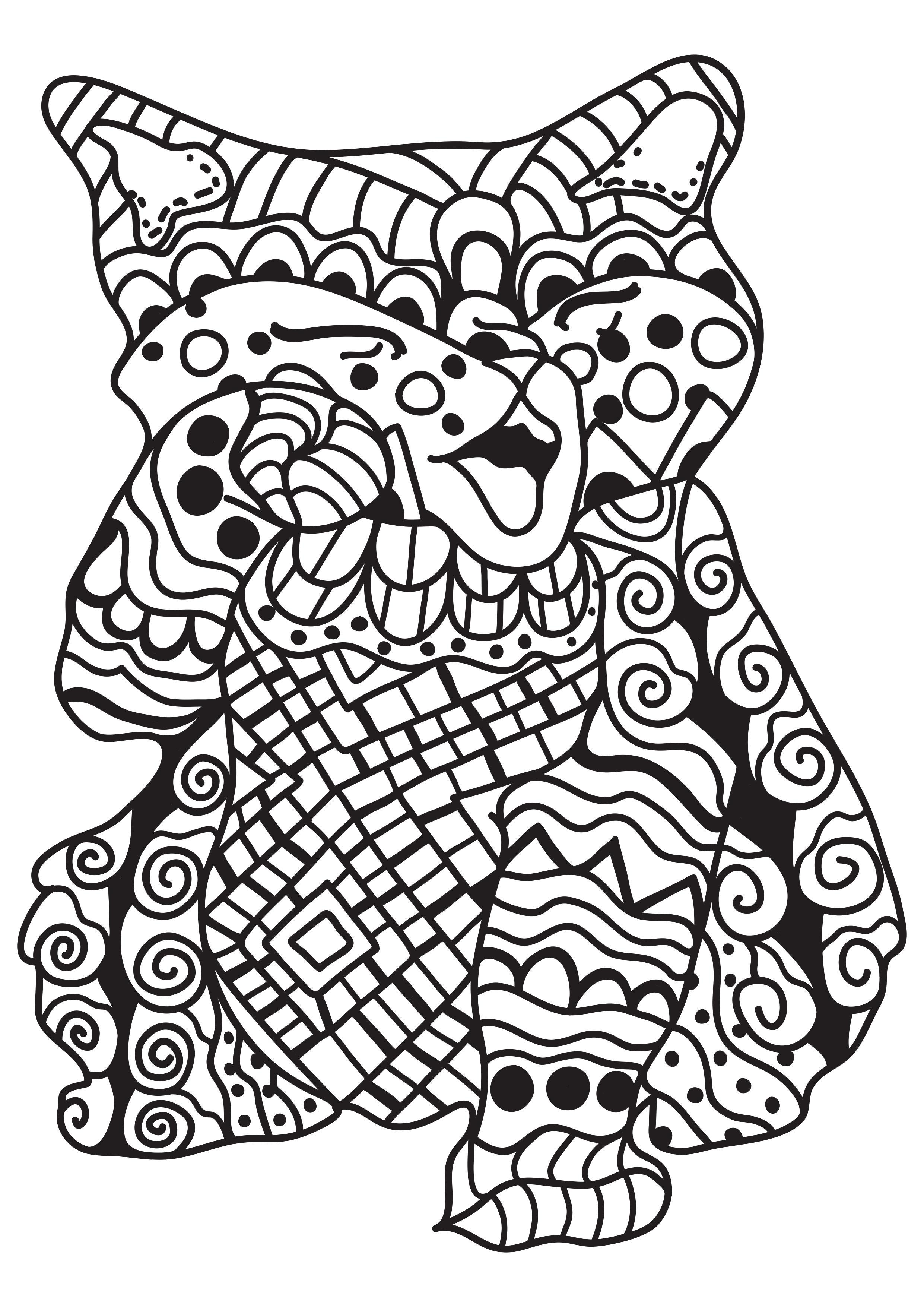 gato Página para colorir gato