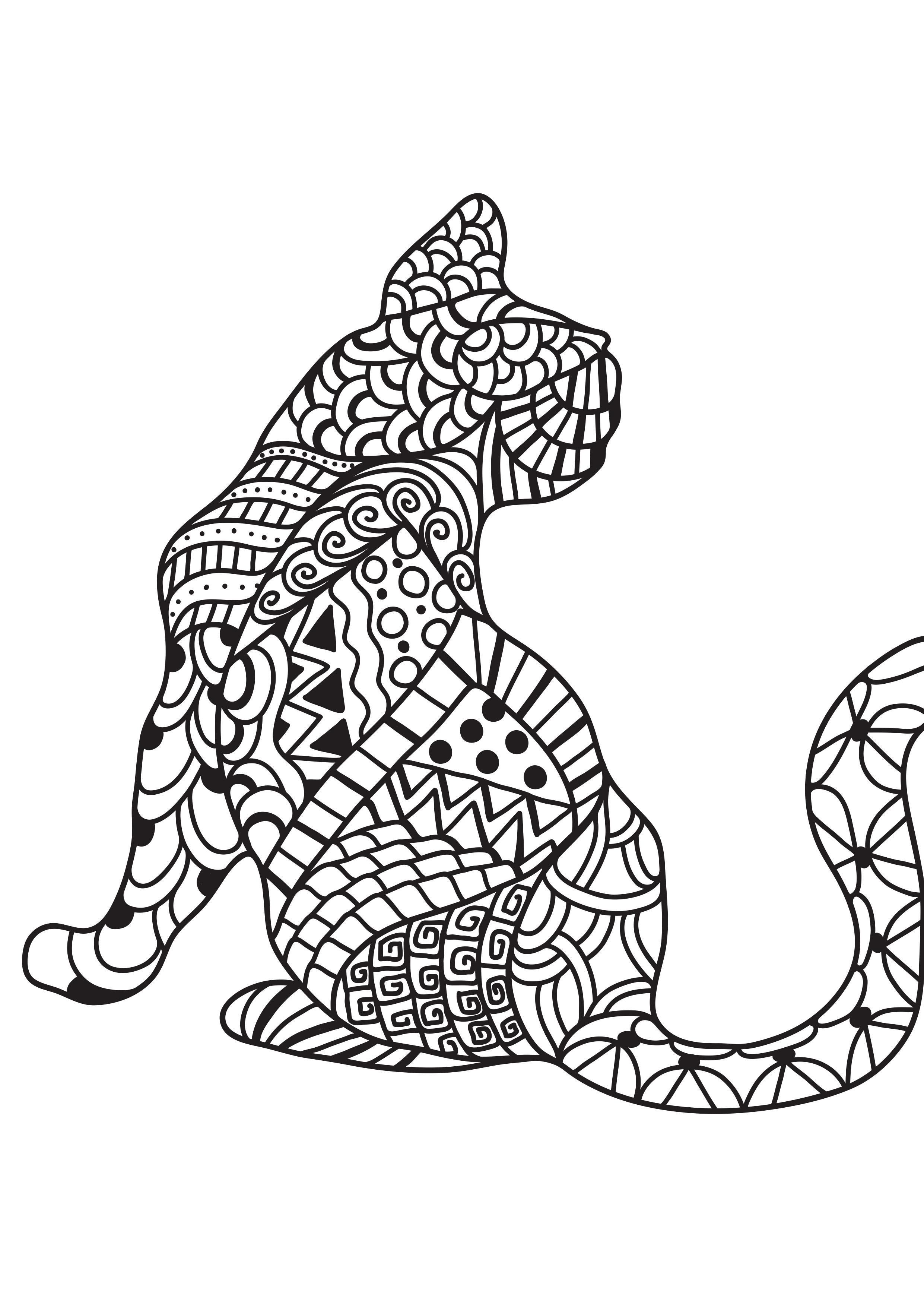gato Página para colorir gato