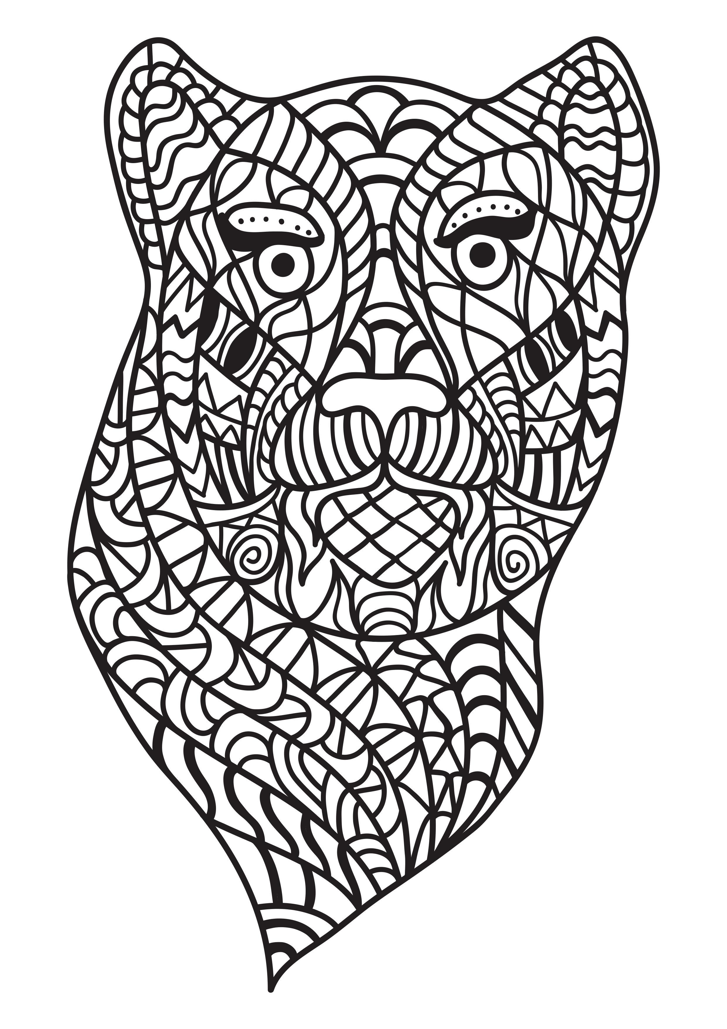 gato Página para colorir gato