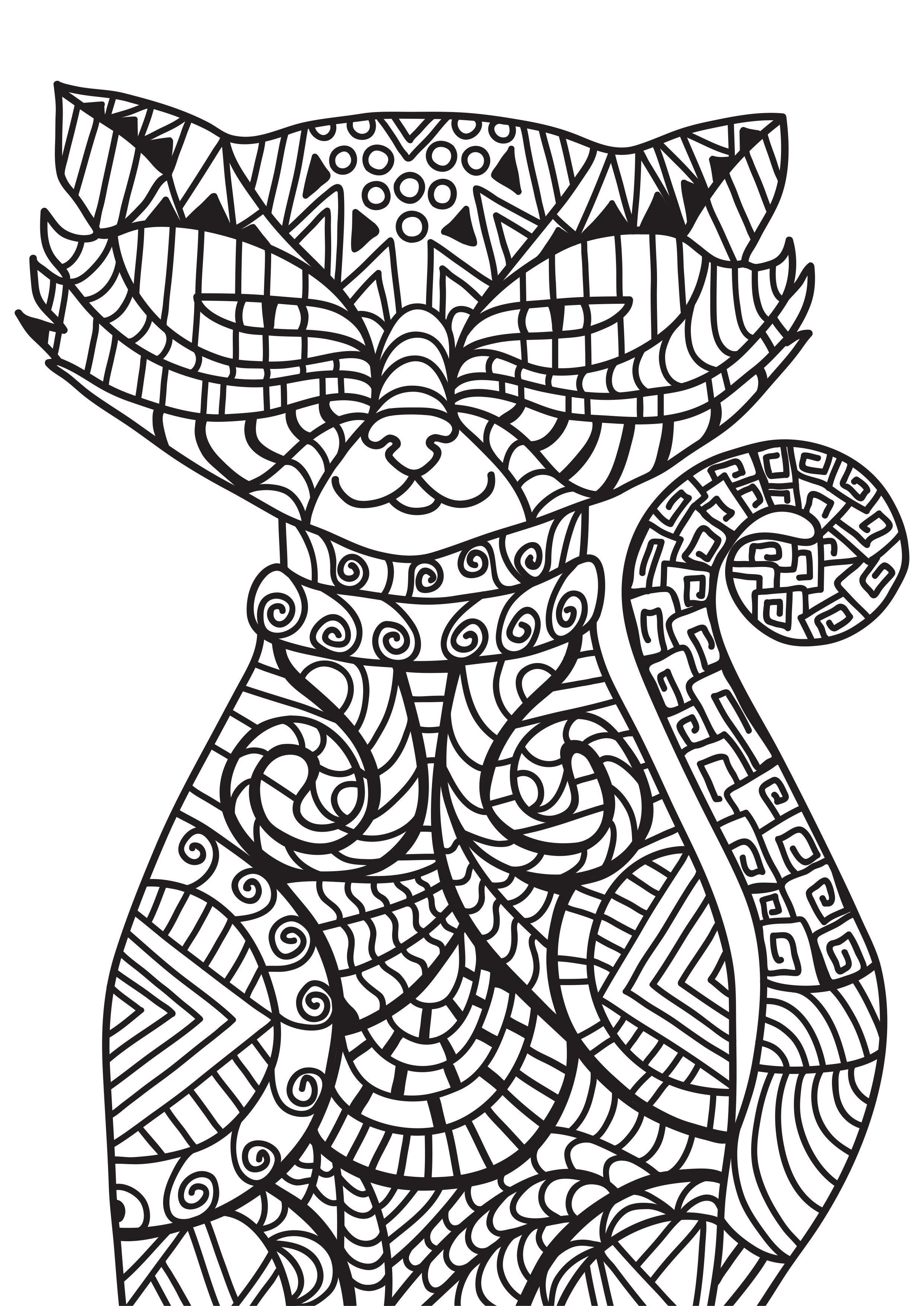 gato Página para colorir gato