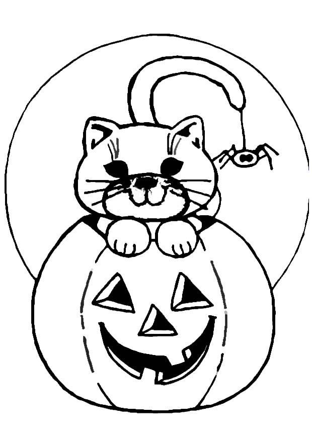 gato Página para colorir gato