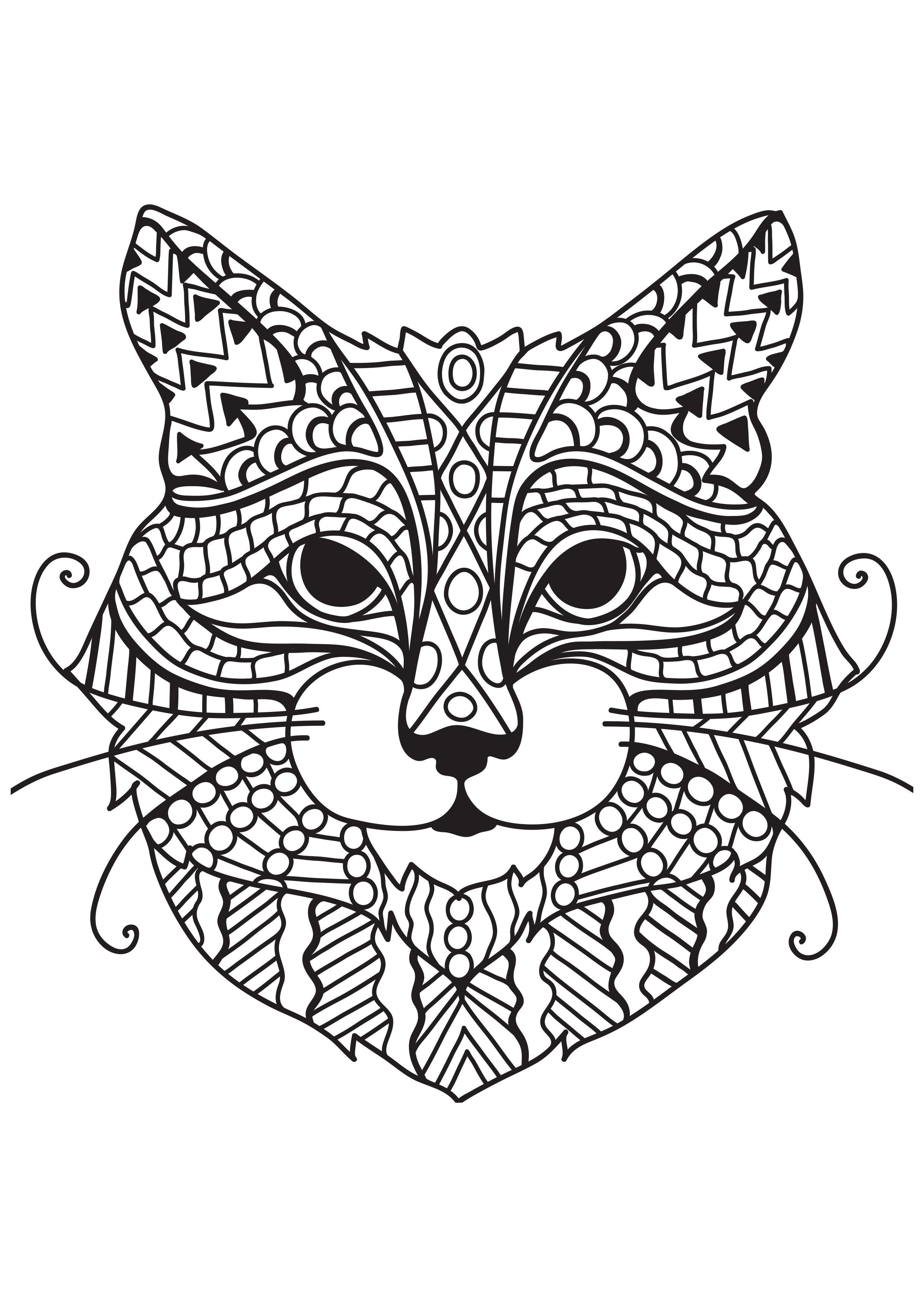 gato com bigodes Página para colorir gato com bigodes