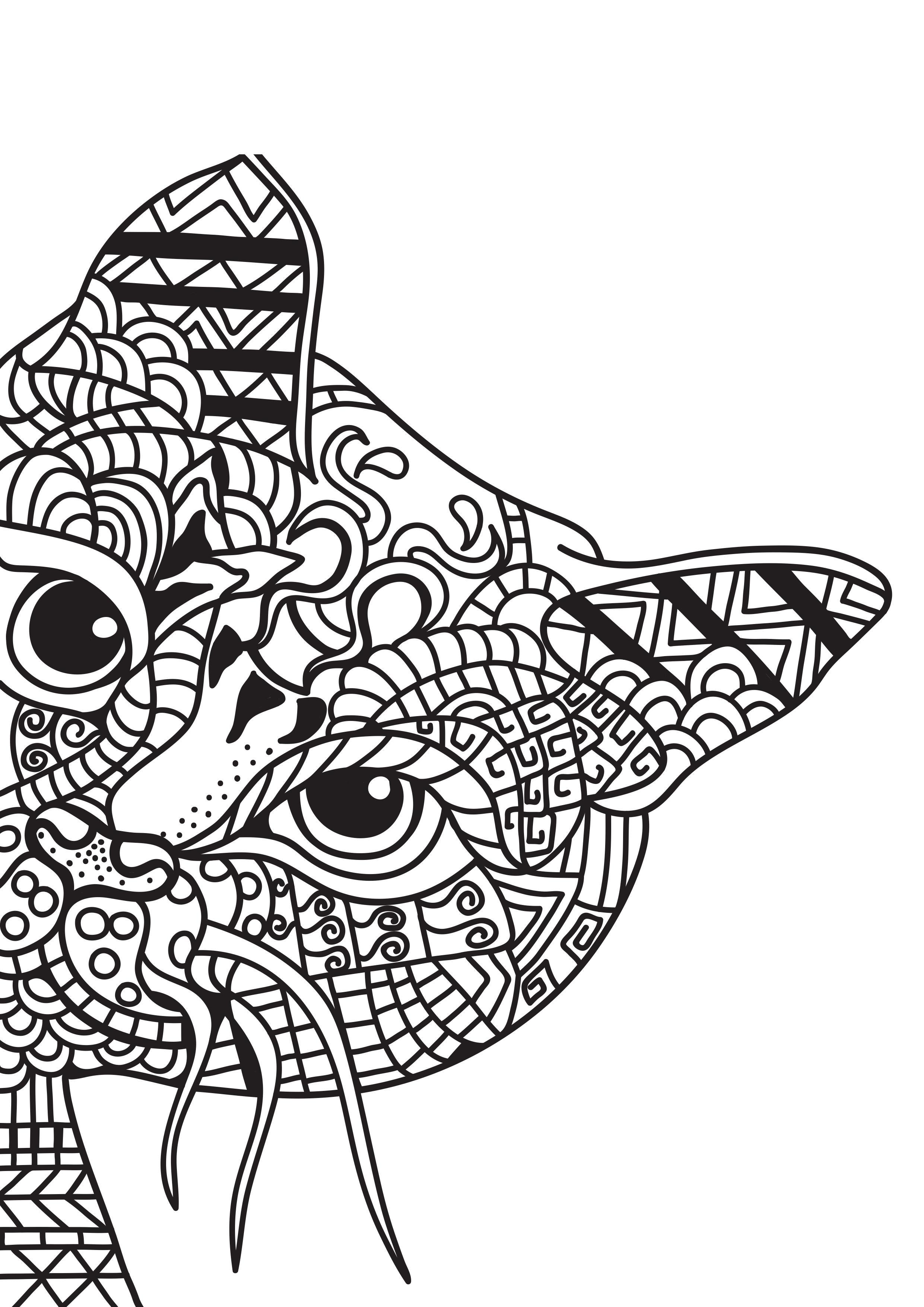 gato estA¡ se escondendo Página para colorir gato estA¡ se escondendo