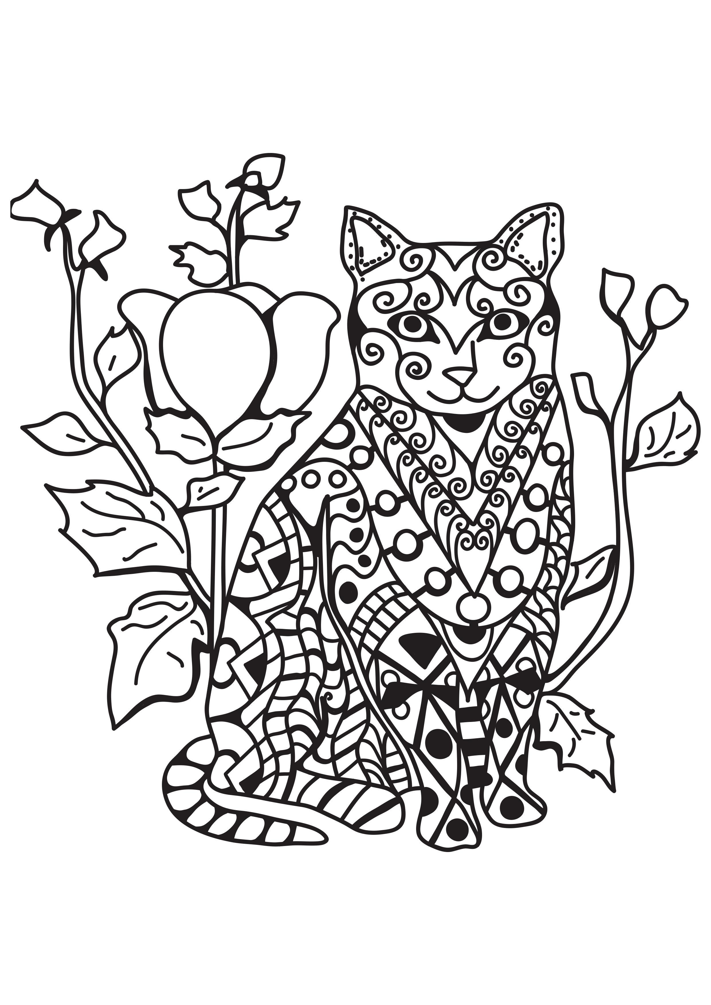 gato no jardim Página para colorir gato no jardim