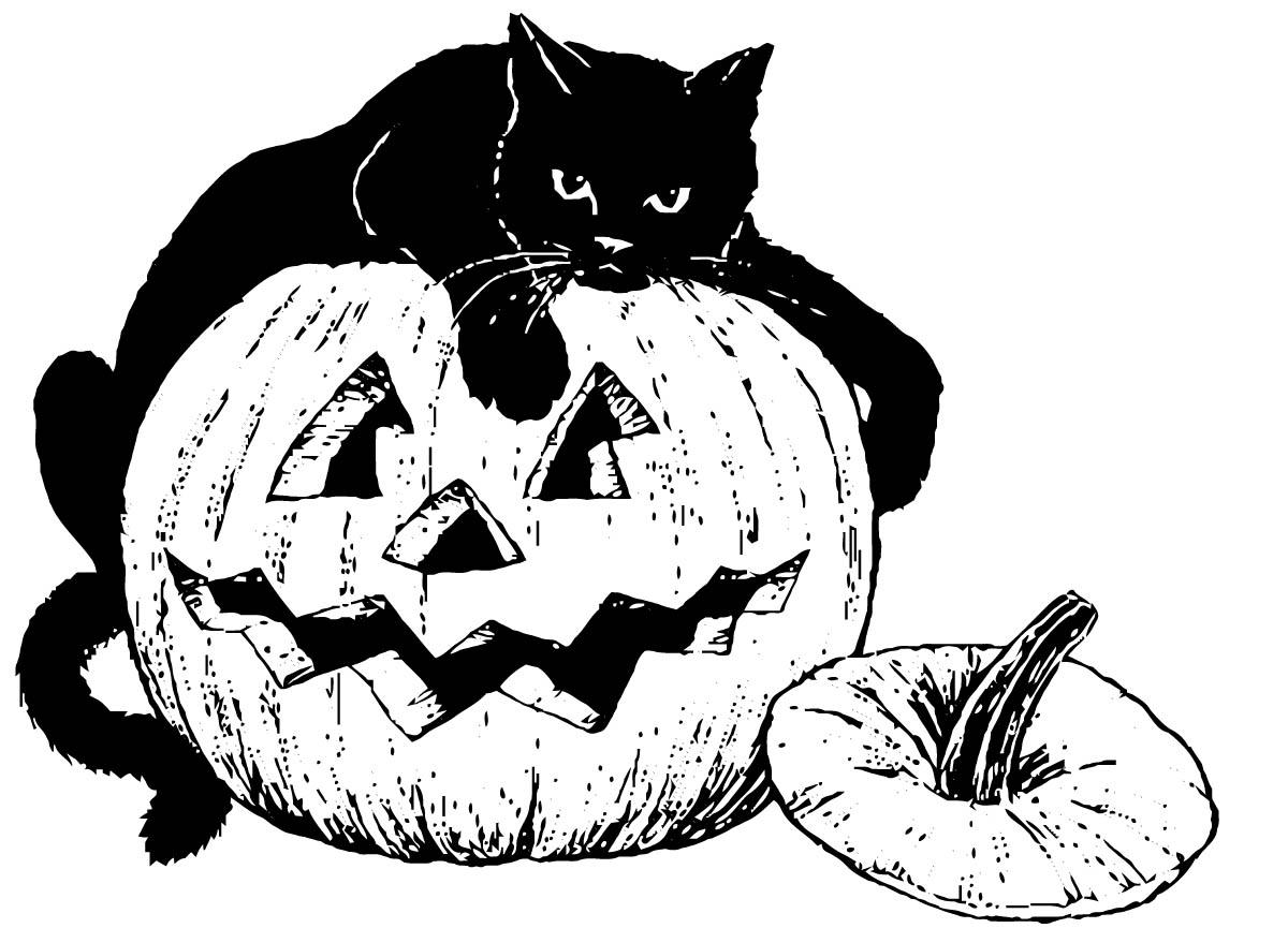 gato preto na abA³bora Página para colorir gato preto na abA³bora