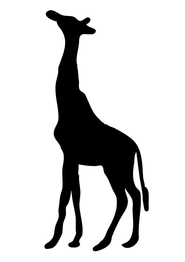 girafa Página para colorir girafa