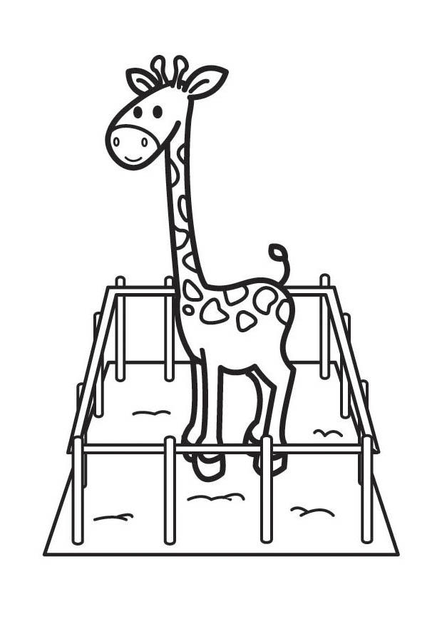 girafa Página para colorir girafa