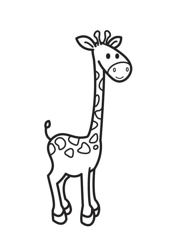 girafa Página para colorir girafa