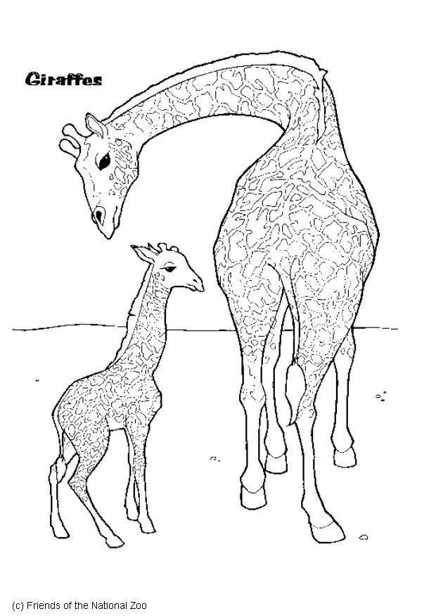 girafa Página para colorir girafa
