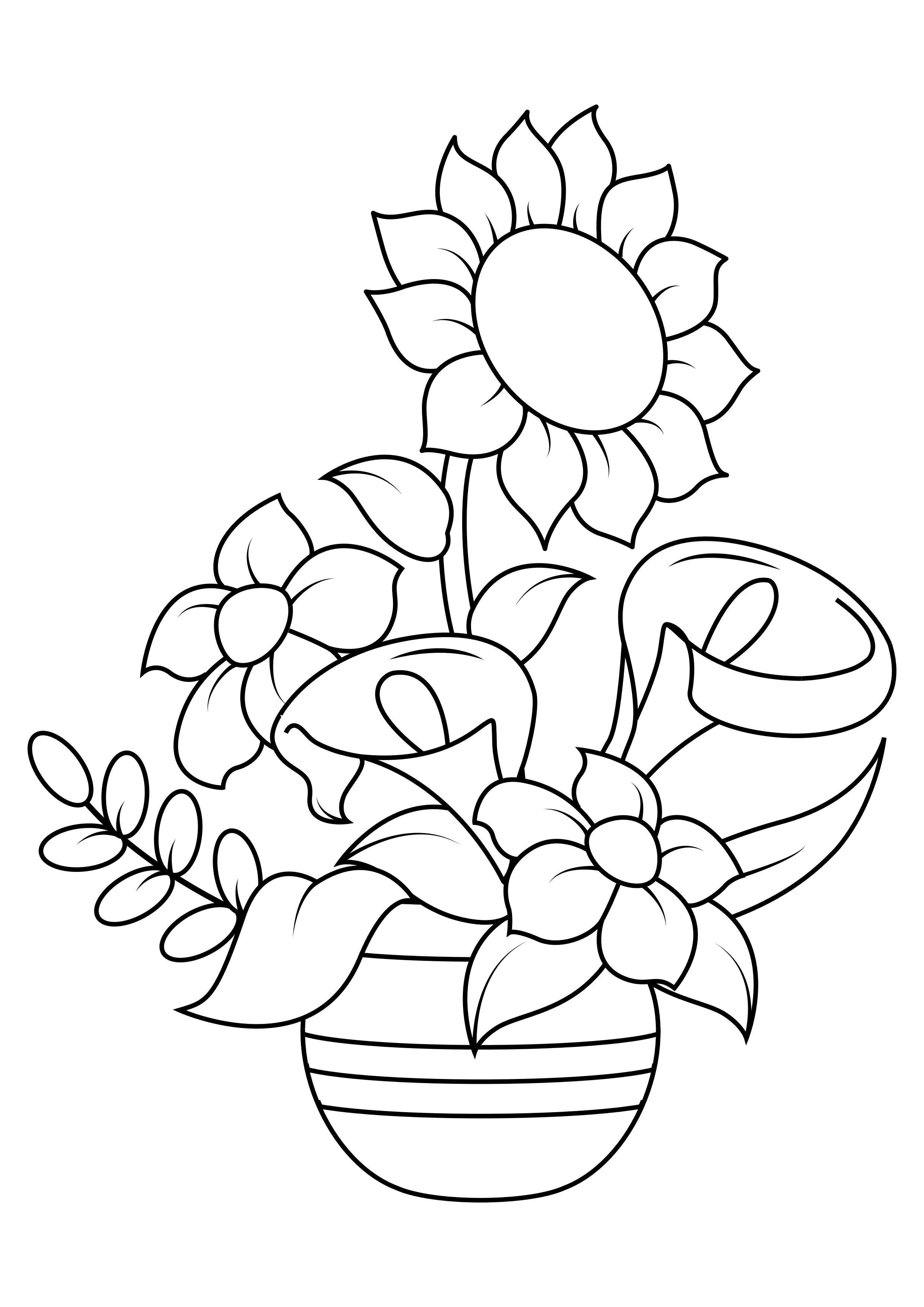 girassol Página para colorir girassol
