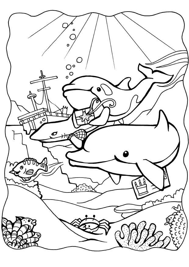 golfinhos 3 Página para colorir golfinhos 3