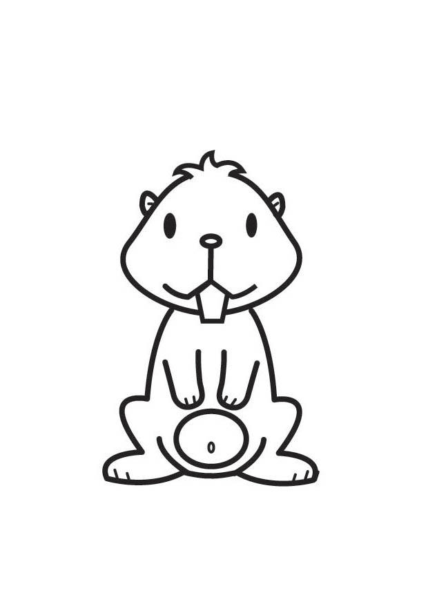 hamster Página para colorir hamster