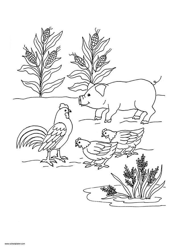 imagem 10 Página para colorir imagem 10