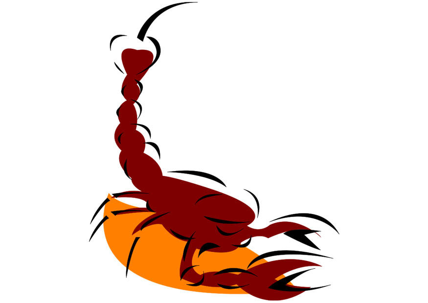 imagem escorpiA£o