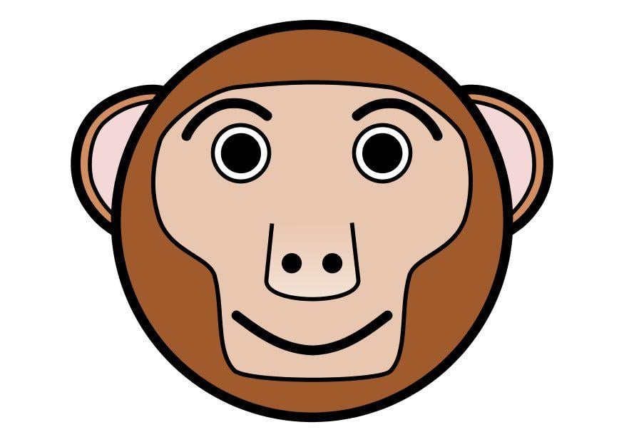 imagem r1 - macaco