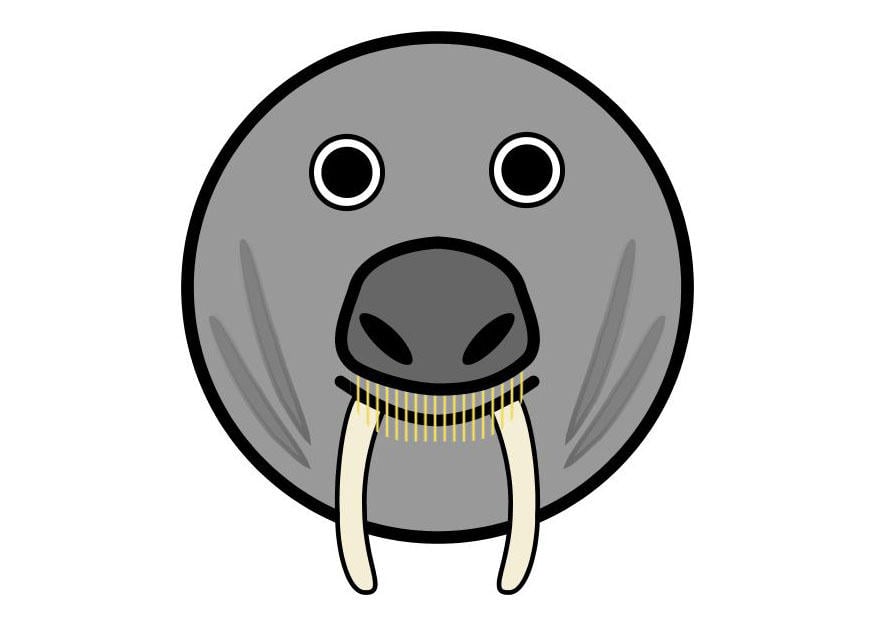 imagem r1 - morsa
