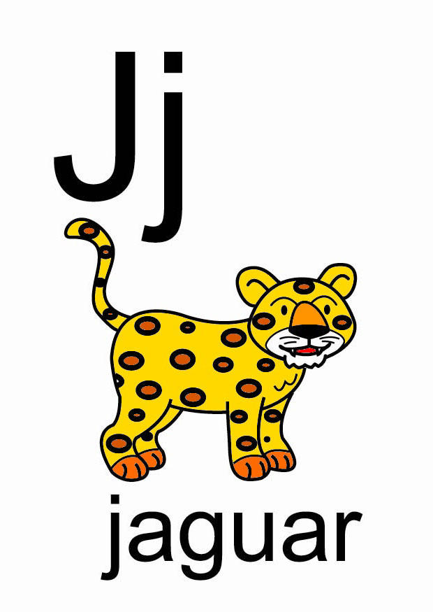 j imagem j