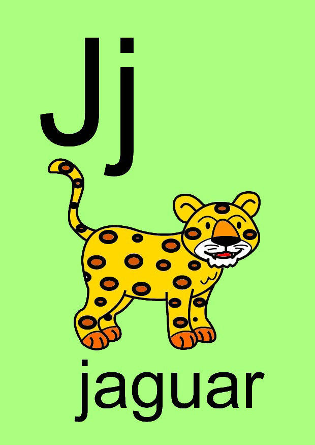 j imagem j