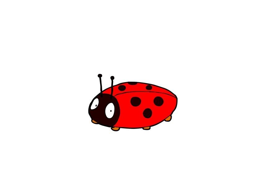 joaninha imagem joaninha