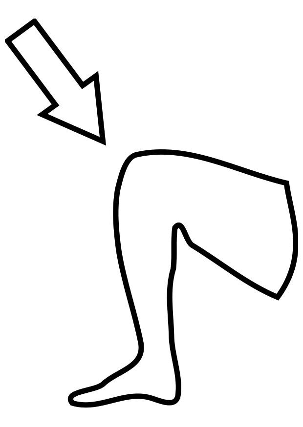 joelho Página para colorir joelho