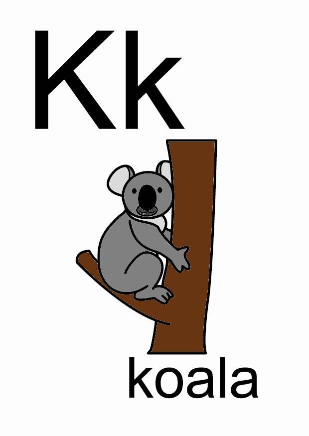 k imagem k