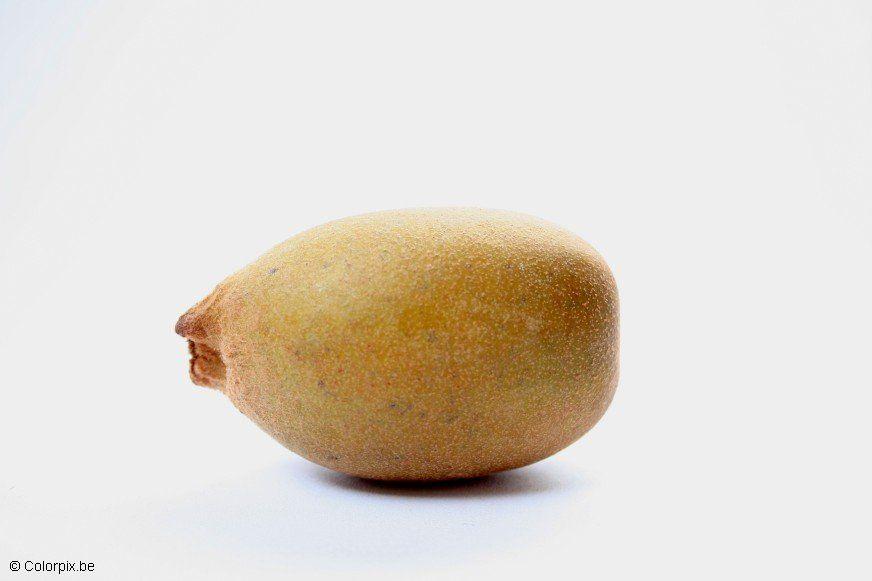 kiwi amarelo Foto kiwi amarelo