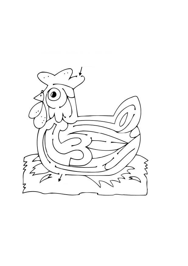 labirinto - galinha Página para colorir labirinto - galinha
