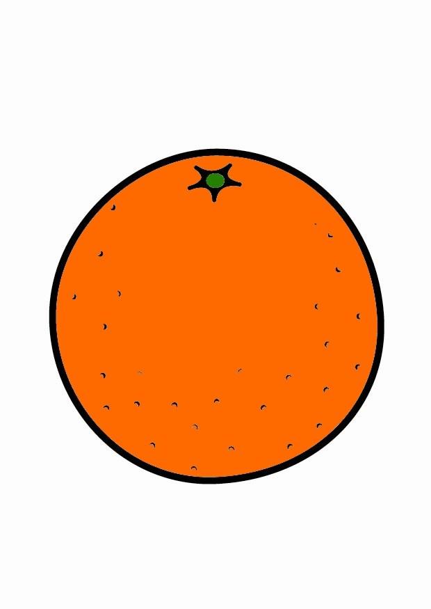 laranja imagem laranja