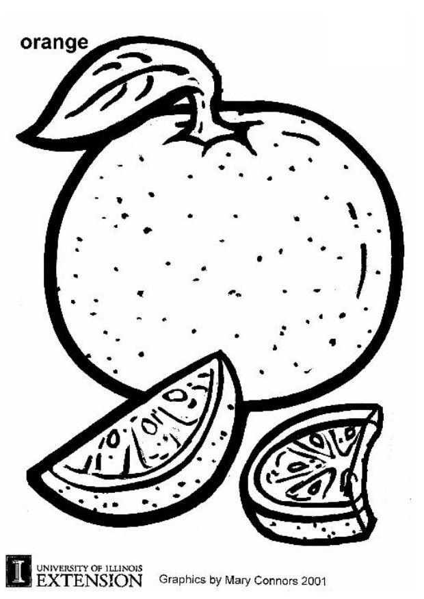 laranja Página para colorir laranja