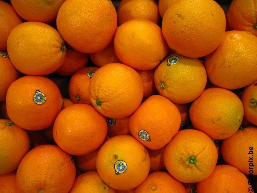 laranjas Foto laranjas