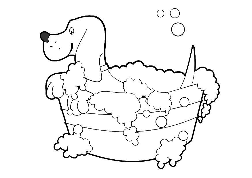 lavagem de cachorro Página para colorir lavagem de cachorro