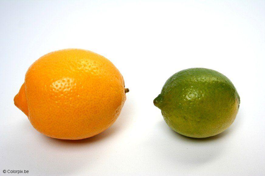 lima e limA£o Foto lima e limA£o