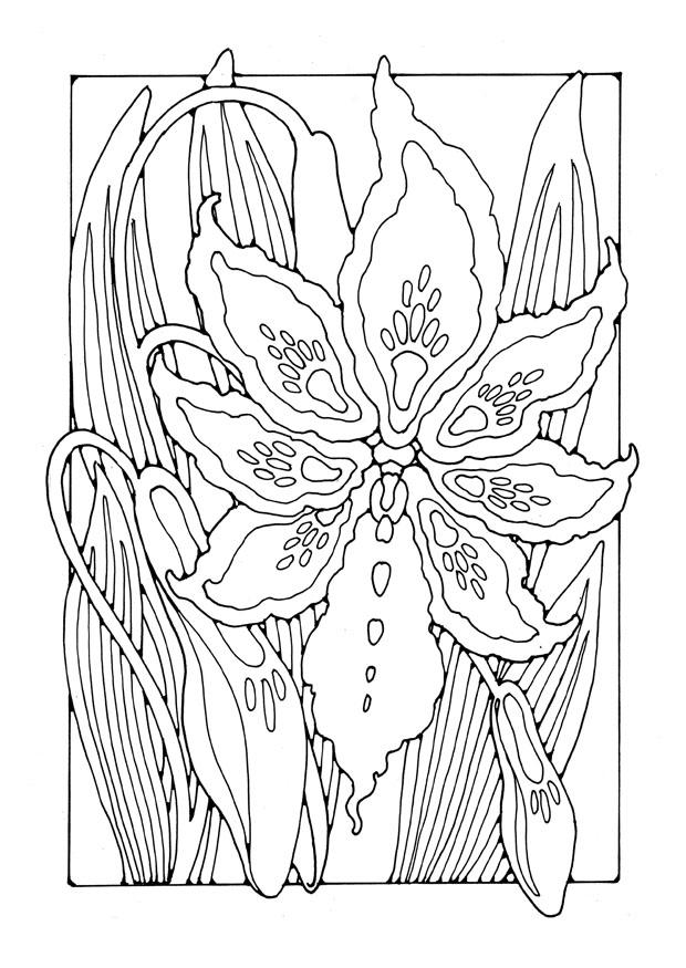 lArio Página para colorir lArio